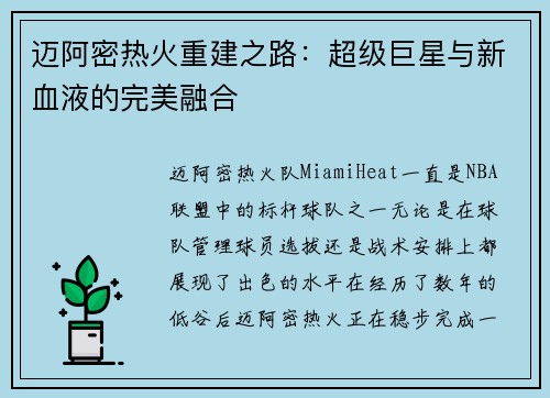 迈阿密热火重建之路：超级巨星与新血液的完美融合