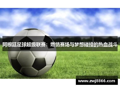 阿根廷足球超级联赛：燃情赛场与梦想碰撞的热血战斗