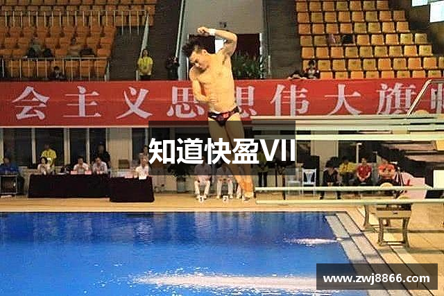 知道快盈VII